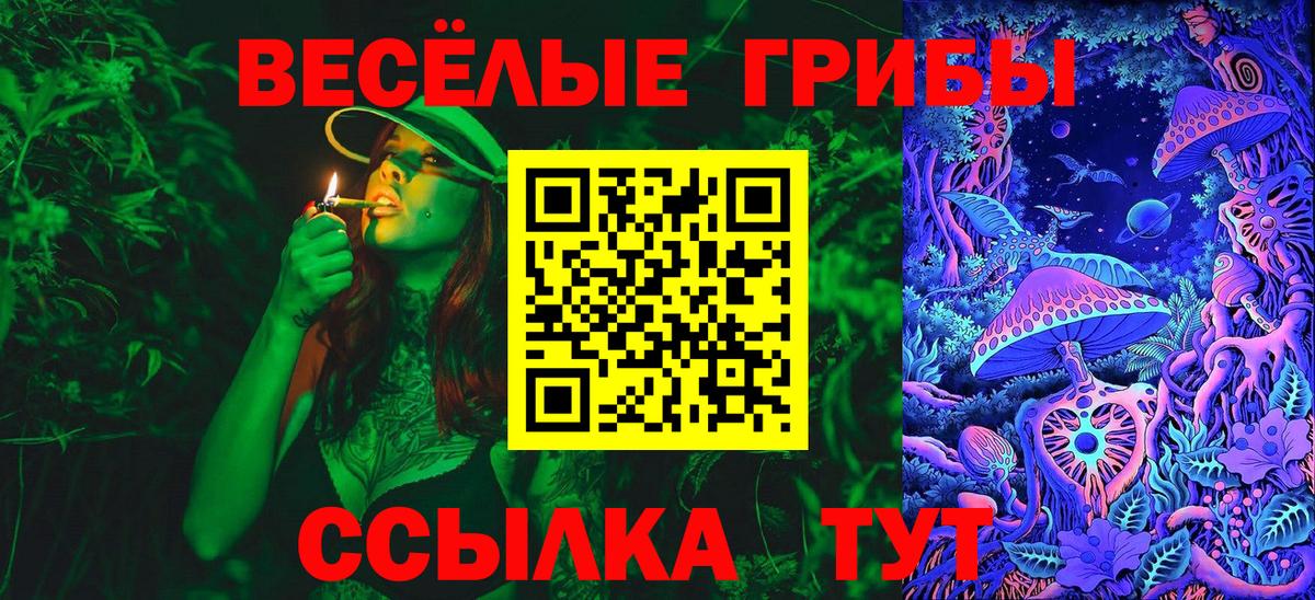 Псилоцибиновые грибы прущие грибы  Вход с VPN  Татарск  Галлюциногенные грибы мицелий 